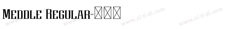Meddle Regular字体转换 Meddle Regular字体转换